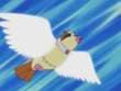 EP291 Pidgey