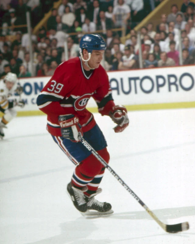 Brian Skrudland Ice Hockey Wiki