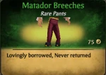MarchPants