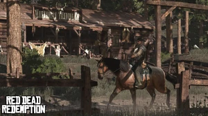 Rdr manzanita post00