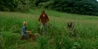 Shallow Graves.PNG