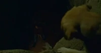 The Lab and the Well.PNG
