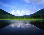 EDlakelandscape