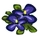 Pansies Quest-icon.png