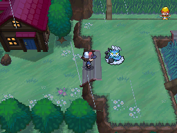 Borutorosu en Ruta 7