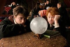 P3 Harry Potter y Ron Weasley - Adivinacion