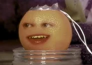 Orangetrap