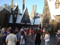 DSC02565.JPG