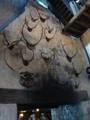 DSC02584.JPG