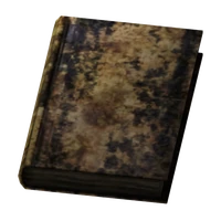 Small Destroyed Book