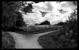 BWroadfork