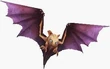 SeekerBat-FFIX