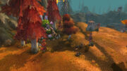 AncientGrove
