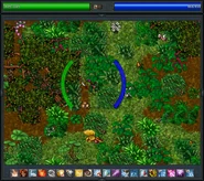 Widget and HUD