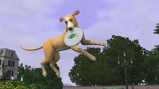 Unleashed