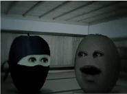 The shadowy dojo
