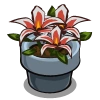 Lilies Big-icon.png