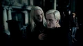 Lucius draco.jpg