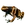 Item phantasmalfrog 01