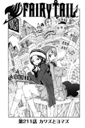 Cover 211