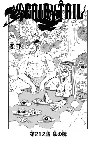 Cover 212