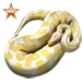 Item albinopython bronze 01