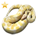 Item albinopython gold 01