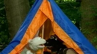 Emzfolge11-2