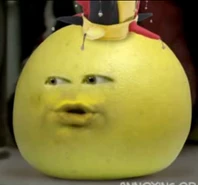 Grapefruitasajester