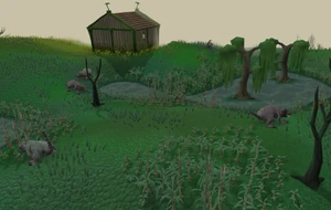 Lumbridge swamps old
