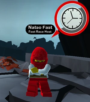 Natso fast