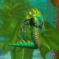 Zin'jatarRaider