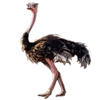Huge item ostrich 01.png