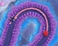Kirby Snake
