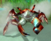 SabreclawSkitterer