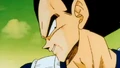 Vegeta47