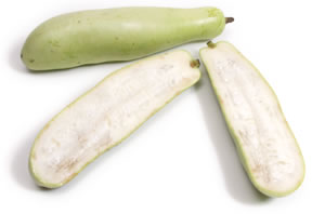 Opo squash