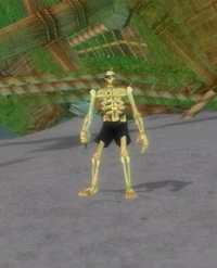 SaltyDog