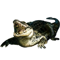 Huge item cubancrocodile 01.png