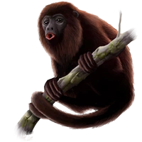 Huge item blackhowler 01.png