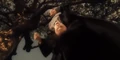 Severus Snape Being Bullied By James Potter.png