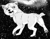 Orion6588