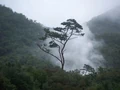 10 Rain.jpg
