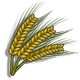 Barley-icon