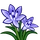 Spring Squill-icon