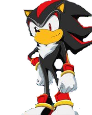 ShadowSNN