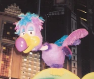 Announcer Bird