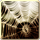 Is web