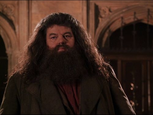 Rubeus Hagrid - Harry Potter Wiki