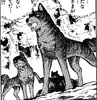 Kaiga8